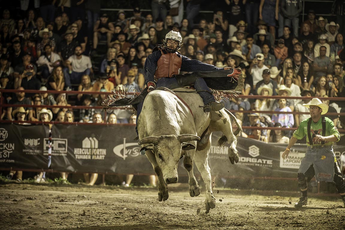 bull riding